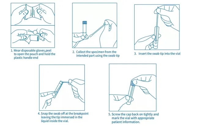 10ml Vtm Virus Sampling Tube with 3ml Medium to Preserve Rna for PCR Extraction and Testing