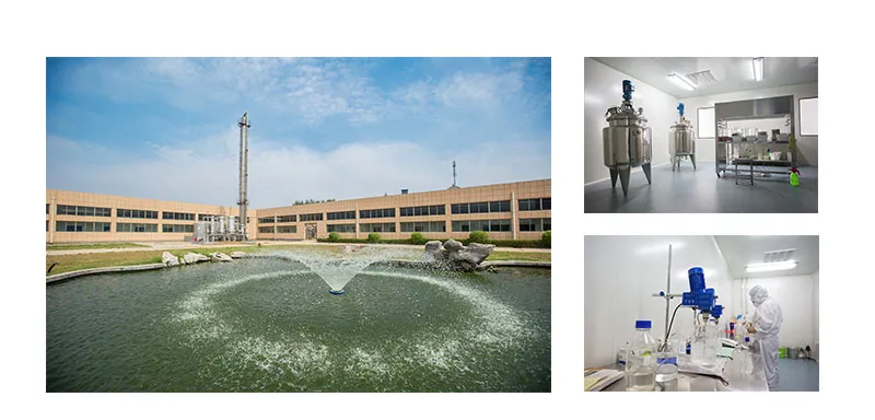 2019 Blunt-Tip Cannula Hyaluronic Acid Filler Needle Disposable 27g*50mm Micro Cannula