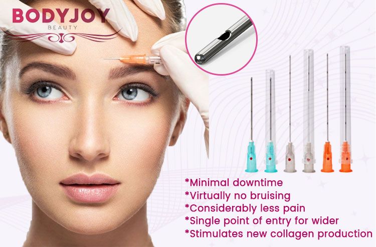 2021 ODM Provide Medical Supply Disposable Steril Micro Cannula Needle