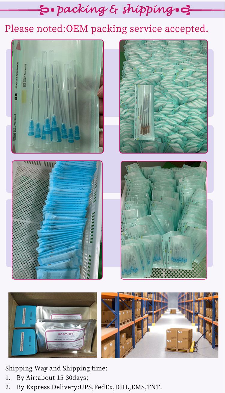 2021 ODM Provide Medical Supply Disposable Steril Micro Cannula Needle