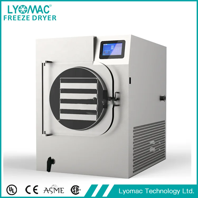 How Is a Food Grade Lyophilizer Applied Across Food Processing Industries?