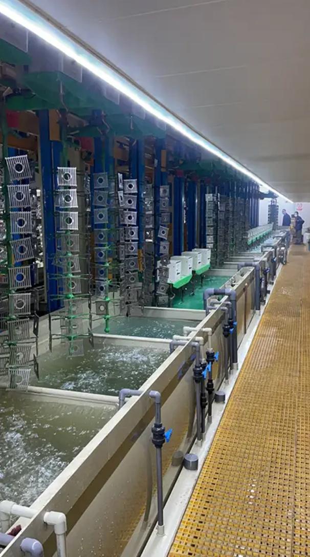 Top 10 Sanitary Ware Vertical Lift Plating Equipment Options for Modern Production Lines