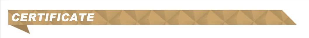 Bouliga Beed Filler Dermal Filler 10ml Cross Linked Hyaluronic Acid Filler for Tenting Lip Filler