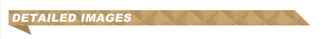 Bouliga Beed Filler Dermal Filler 10ml Cross Linked Hyaluronic Acid Filler for Tenting Lip Filler