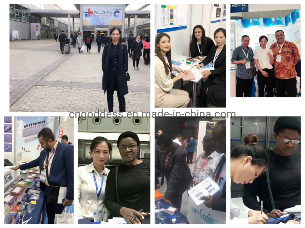 CE ISO Certification Disposable Lab Filter Pipette Tips 10UL 20UL 100UL 200UL 1000UL Bulk/Box Package