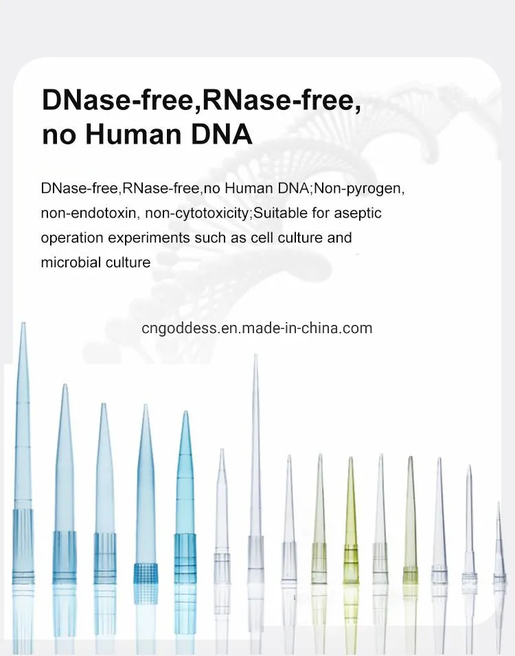 CE ISO Certification Disposable Lab Filter Pipette Tips 10UL 20UL 100UL 200UL 1000UL Bulk/Box Package
