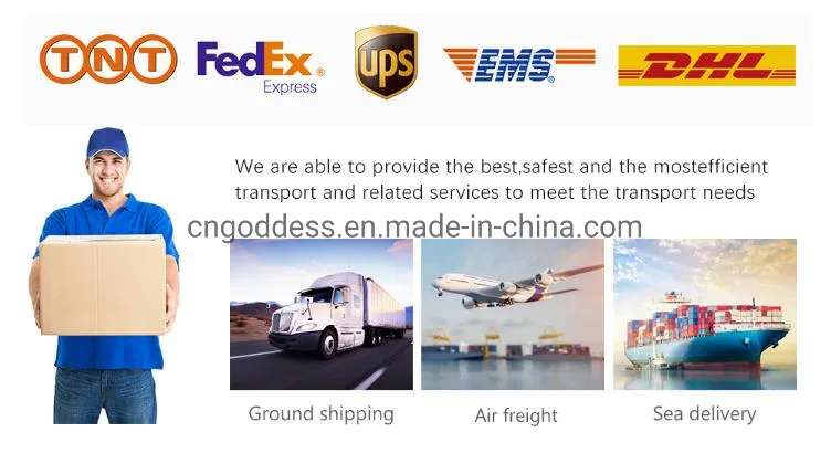 CE ISO Certification Disposable Lab Filter Pipette Tips 10UL 20UL 100UL 200UL 1000UL Bulk/Box Package