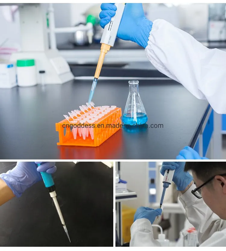 CE ISO Certification Disposable Lab Filter Pipette Tips 10UL 20UL 100UL 200UL 1000UL Bulk/Box Package