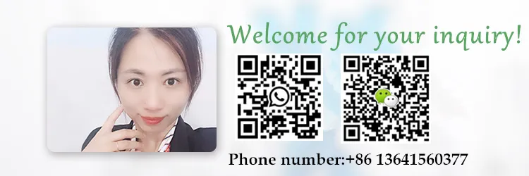 CE ISO Certification Disposable Lab Filter Pipette Tips 10UL 20UL 100UL 200UL 1000UL Bulk/Box Package