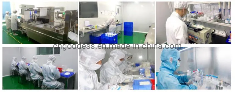 CE ISO Certification Disposable Lab Filter Pipette Tips 10UL 20UL 100UL 200UL 1000UL Bulk/Box Package