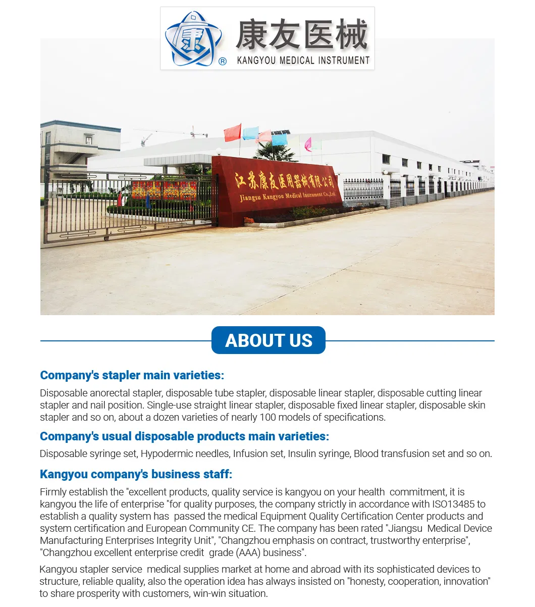 CE Sterile Medical Disposable Infusion Set with Excellent Materials