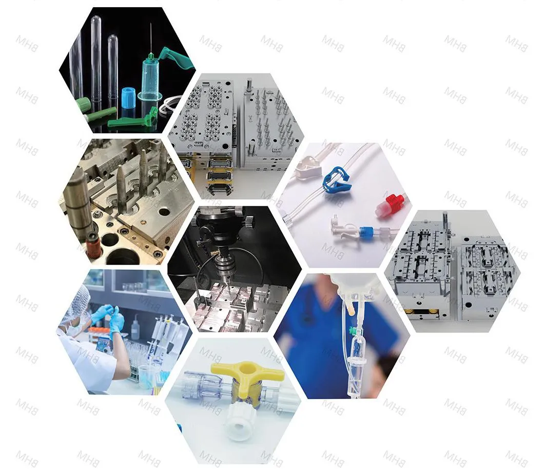 China Gynecological Speculum Vaginal Medical Equipment Mould