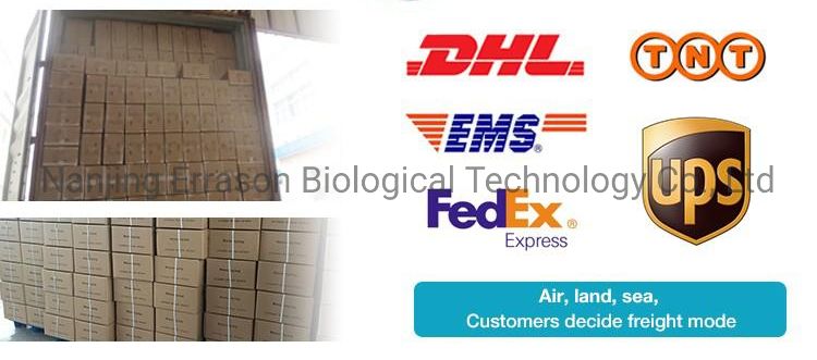 Custom Printed Colored Bandage Adhesive Wound Plaster Band Aid