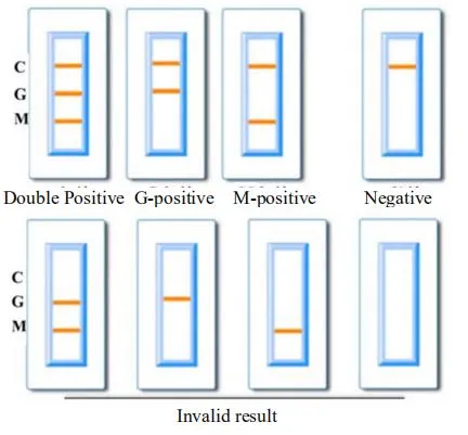 Diagnostic Detection Igg/Igm One Step Antibody Rapid Test Kit