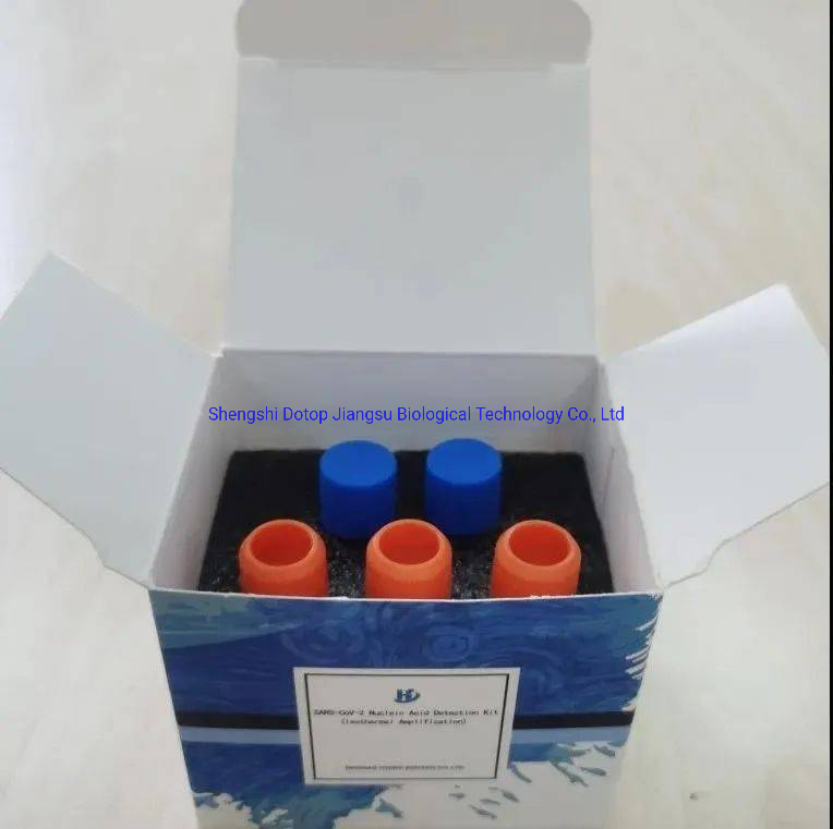 Diagnostic Detection Igg/Igm One Step Antibody Rapid Test Kit