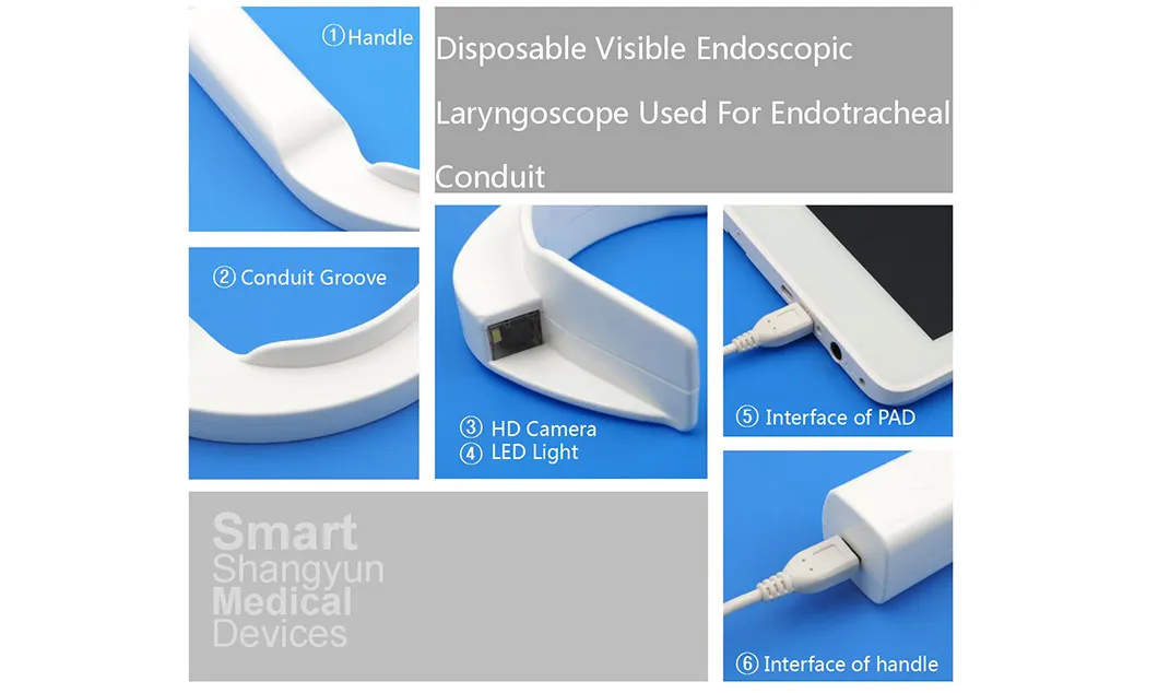Difficult Airway Severely Ill Ventilator Airway Intubation Disposable Visual Laryngoscope