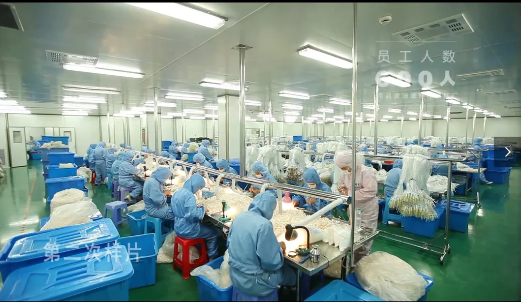 Disposable Auto Disable or Ad Syringe with Mounted Needle