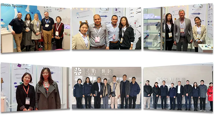 Disposable Endoscopic Grasper Atraumatic Fenestrated with Ratchet 330mmx5mm