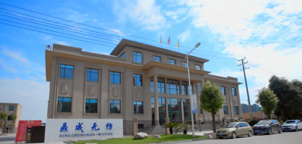 Disposable Non-Woven PP/PE/CPE Overshoes for Protection Factory Supply
