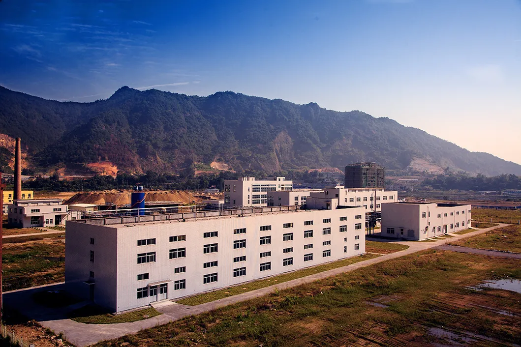 Disposable PP+PE Bouffant Elastic Clip Cap