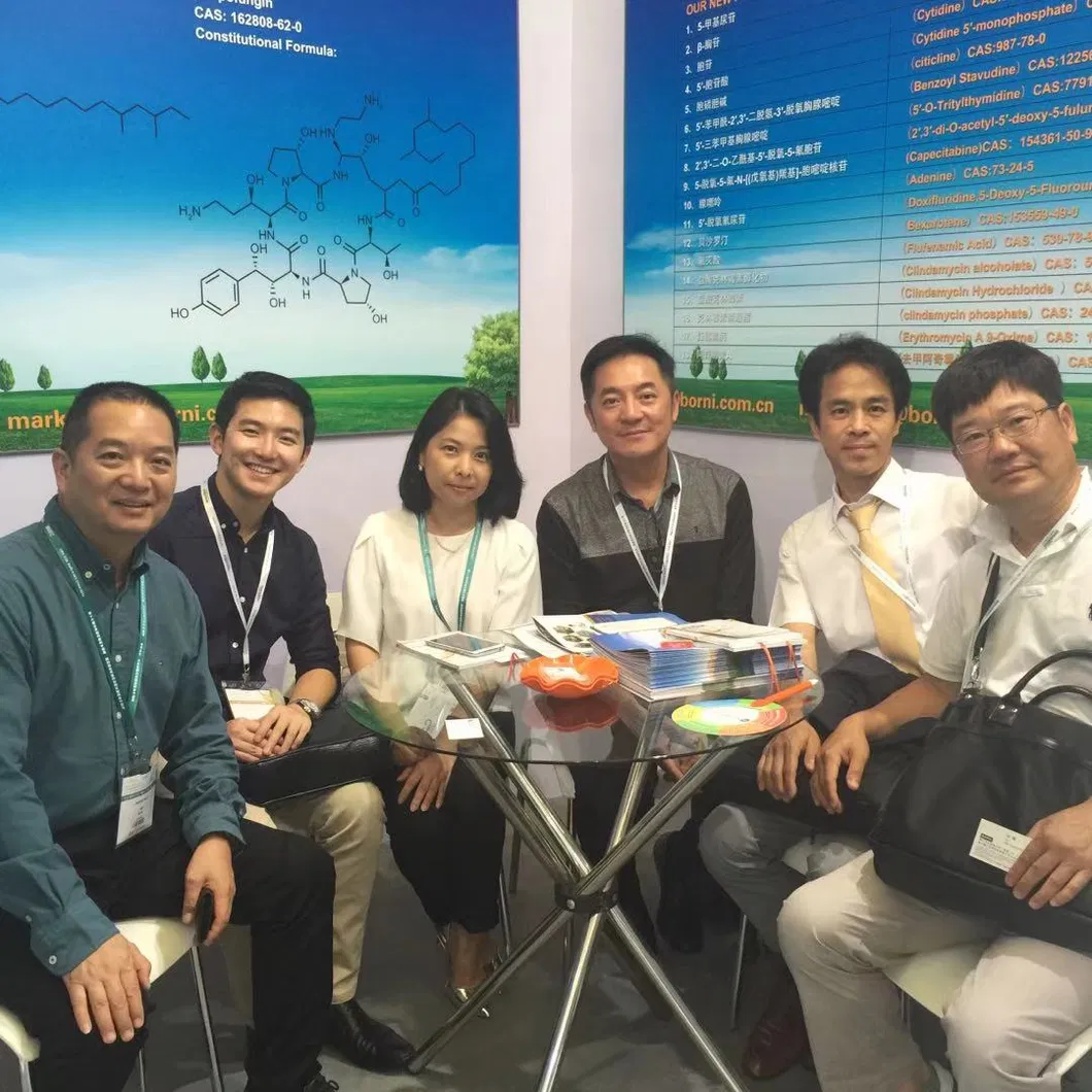 Disposable PP+PE Bouffant Elastic Clip Cap