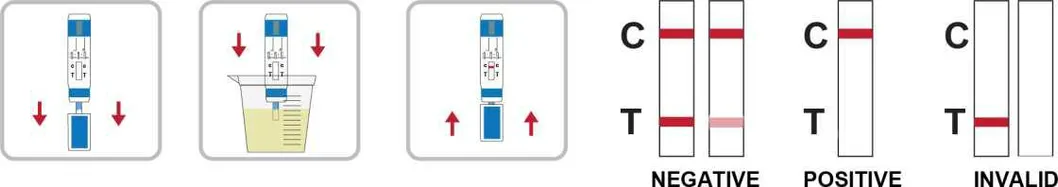 Ethyl Glucuronide Test One Step Etg Rapid Test Card