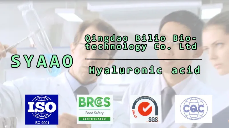 Famous Factory Health Care Food Grade Hyaluronic Acid Sodium Ha Powder