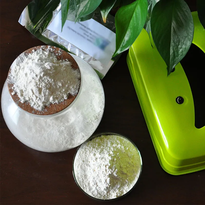 Famous Factory Health Care Food Grade Hyaluronic Acid Sodium Ha Powder