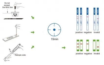 Fast Delivery! ! Fertility Test Pregnancy Test, HCG Pregnancy Test, HCG Test Cassette