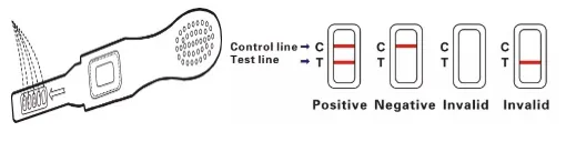 Fast Delivery! ! Fertility Test Pregnancy Test, HCG Pregnancy Test, HCG Test Cassette