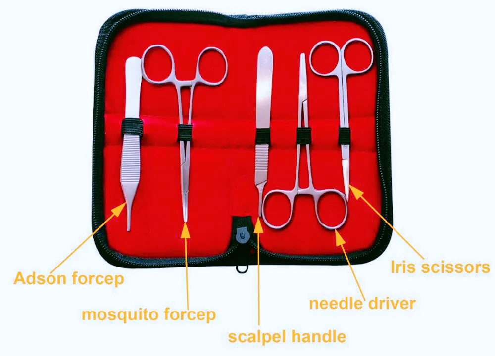 High Quality Cheap Price Suture Practice Pad Suture Tool Kit for Medical Use