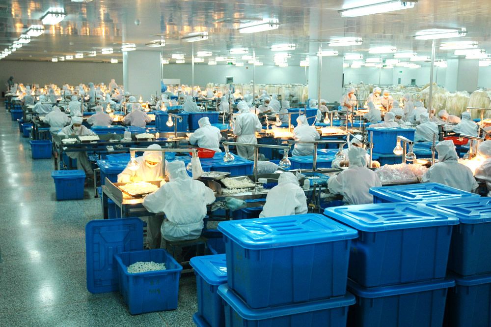 IV Extension Tube with Three Way Stopcock