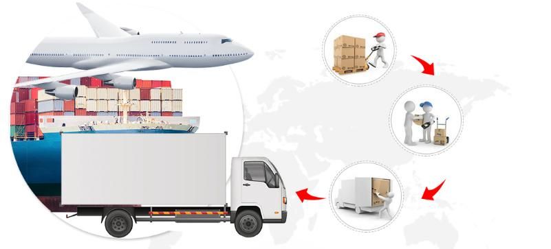 Kit PCR-Fluorescence Probing Virus Nucleic Acid Extraction Test Kit Nucleic Acid Detection Kit Antibody Test Immunodeficiency New Infectious