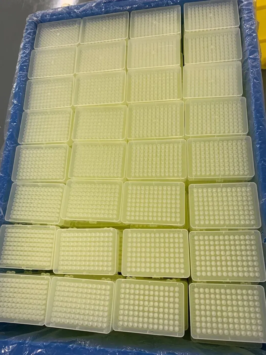 Laboratory Supplies Consumables 10UL 20UL 100UL 200UL 1000UL Pipette Filter Tips Lab Pipette Tip