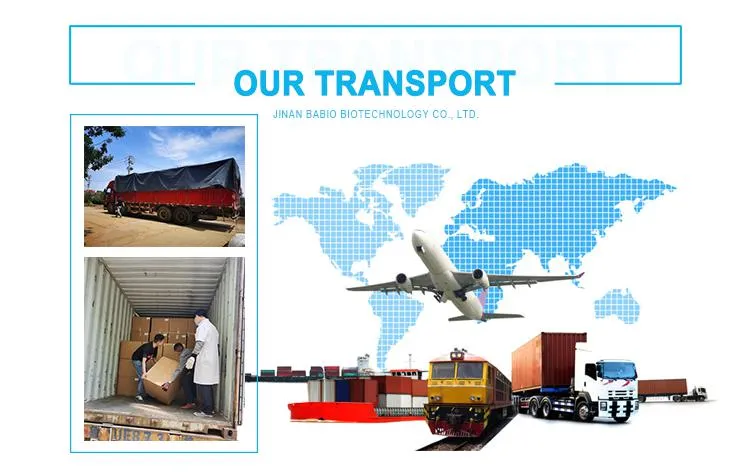 Low Price Mycoplasma Large Wholesale Cheap Pneumoniae Igm Test Kit