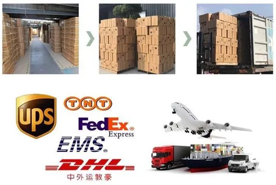 Medical Custom Sterile Latex-Free PE Skin Color Adhesive Band Aid