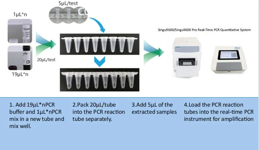Medical Diagnostic Test Kit for DNA/Rna with Multiple Rt-PCR Fluorescence Probing
