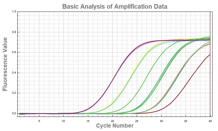 Medical Diagnostic Test Kit for DNA/Rna with Multiple Rt-PCR Fluorescence Probing