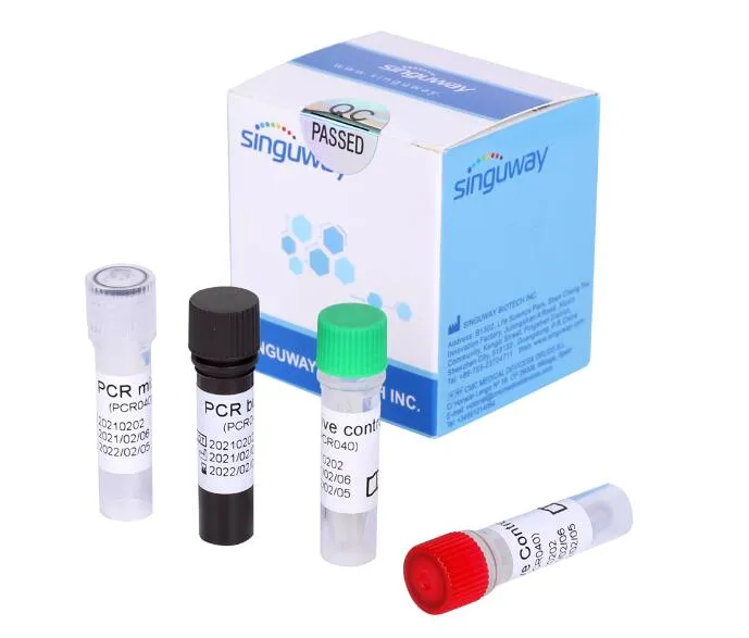 Medical Diagnostic Test Kit for DNA/Rna with Multiple Rt-PCR Fluorescence Probing