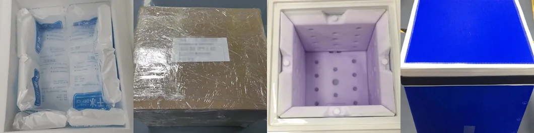 Medical Diagnostic Test Kit for DNA/Rna with Multiple Rt-PCR Fluorescence Probing