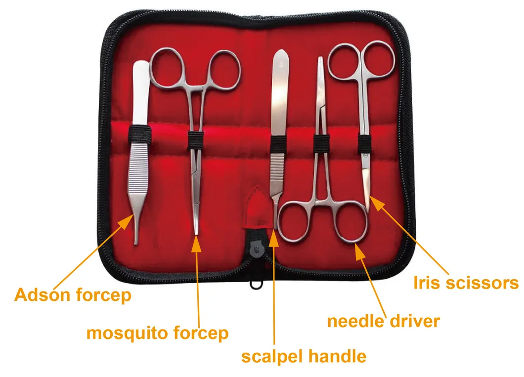 Medical Student  Training Suture Pad with Surgical Tool Suture Practice Kit