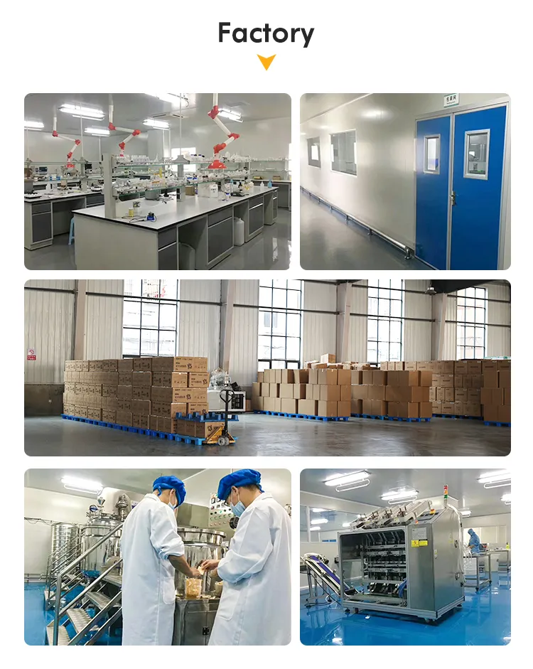 OEM Service Blunt Tip Cannula 18g, 20g, 21g, 22g, 23G, 24G, 25g, 26g, 27g, 30g Stainless Needle for Fillers