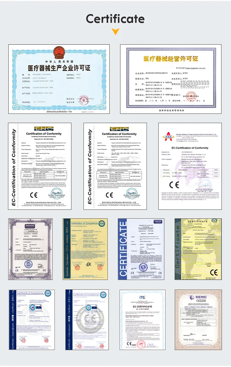 OEM Service Blunt Tip Cannula 18g, 20g, 21g, 22g, 23G, 24G, 25g, 26g, 27g, 30g Stainless Needle for Fillers