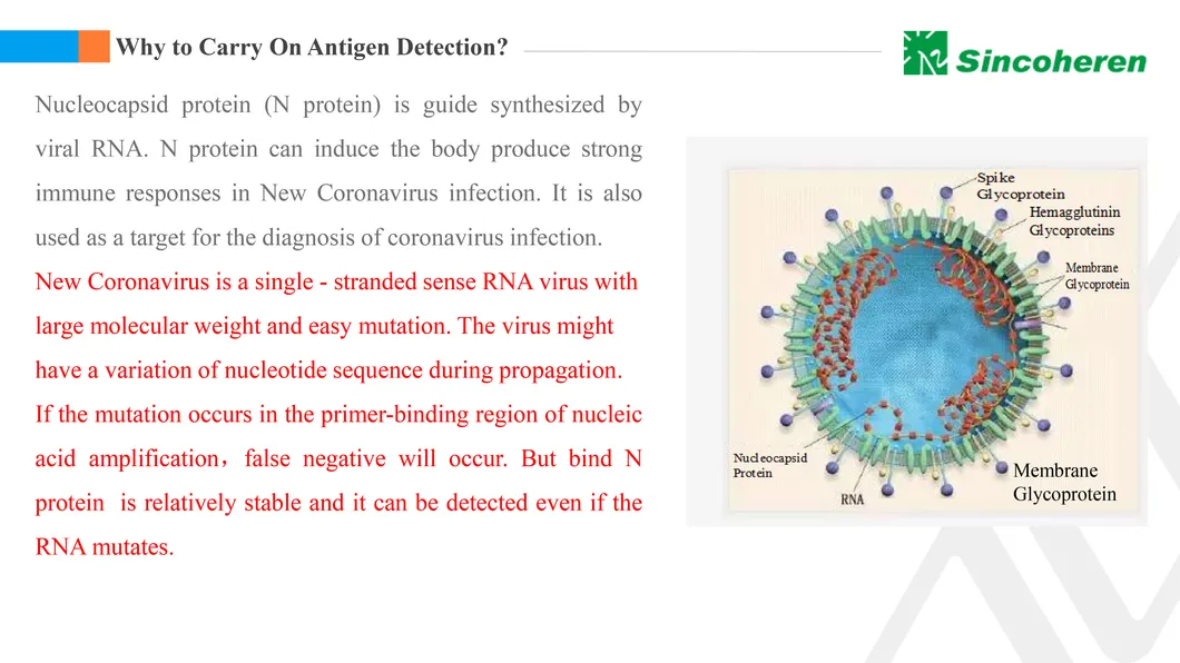 One Step Home Use Psa Prostate Antigen Diagnostic Test