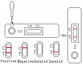 One Step Normal Pacakge H. Pylori Stool Antigen Cassette