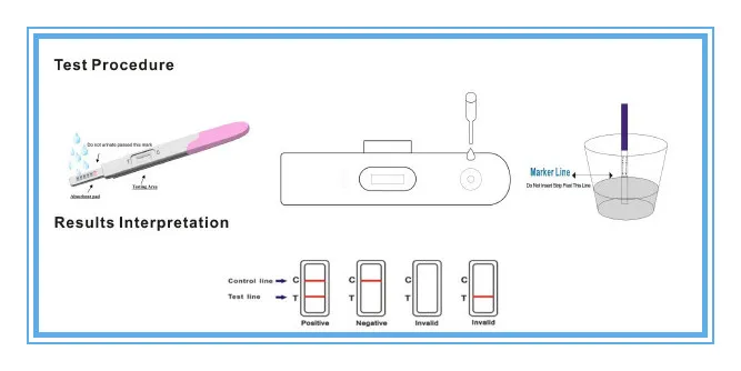 HCG Home Pregnancy Test Urine Pregnancy Test Strip Midstream 99.96% Accuracy Test