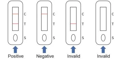 Pei/Bfarm Immunobio Coil Antigen Test Kit Saliva/Nasal Swab Rapid Test CE