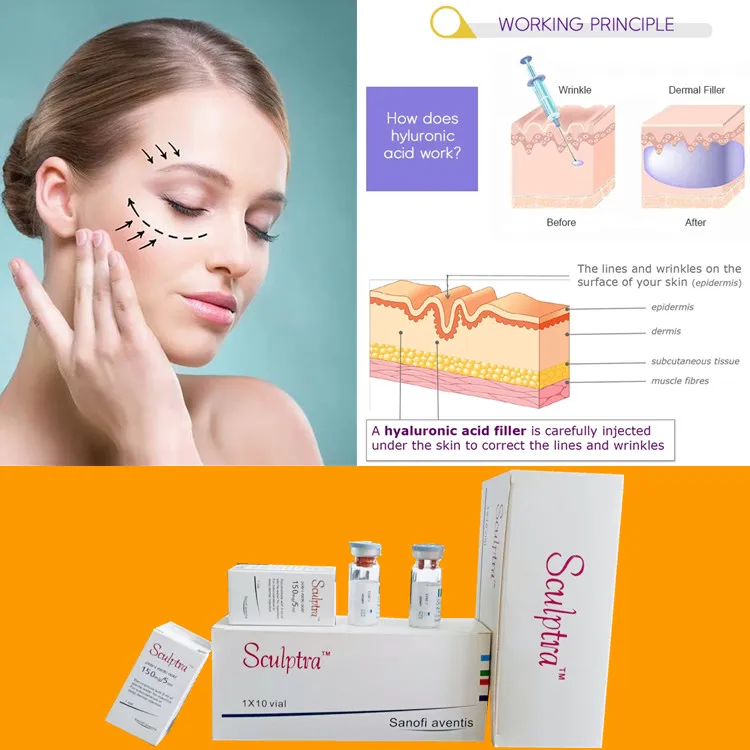 Sculptra Restore Lost Facial Collagen Plla Filler for Wrinkle