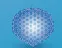 Silicone Snow Lambe Breast Implant