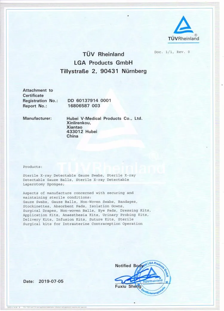 Sterile Disposable Absorbent Gauze Swabs 10X10cm-16ply 13th Wound Dressing 2PCS/Pouch